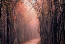 球迷熱聊馬競7000萬鎊購小蜘蛛：天價懸殊，恩凱提亞僅3000萬鎊.