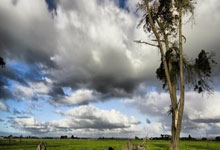 奥利塞在法国队直接任意球破门,是博格巴之后首位做到这点球员.