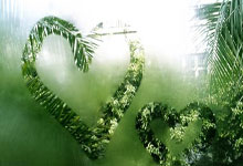 乐天堂：盧：哈登和鮑威爾防守就像魚上樹 範甘迪才是真正的防守導師.