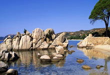 瓜迪奧拉：曼市德比搶眼 攻防轉換精彩.